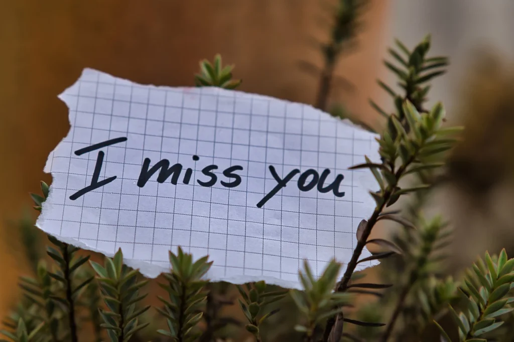 Morceau de papier lâché sur une plante avec le texte "I miss you" dessus.
